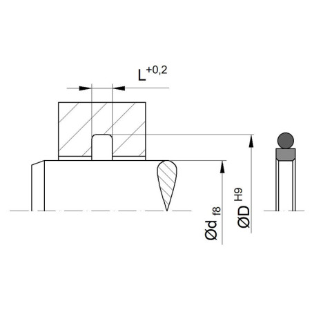 Junta RS-10 PTFE estándar 10,00x